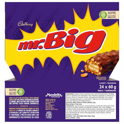 Mr. Big